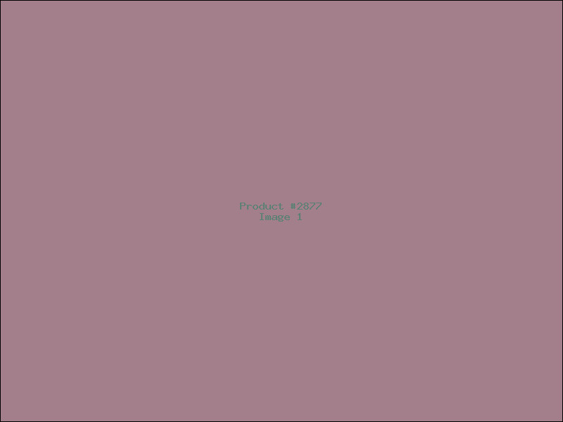 Example Product 2877