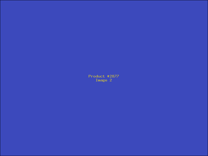 Example Product 2877 - Image 2