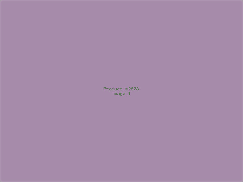 Example Product 2878