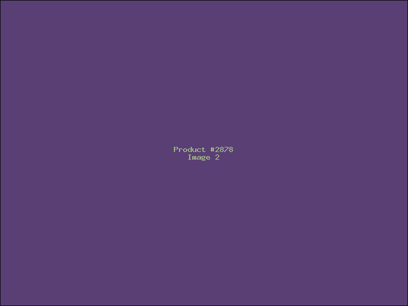Example Product 2878 - Image 2