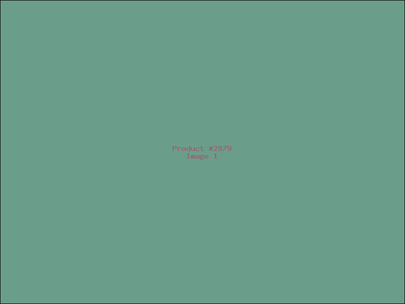 Example Product 2879