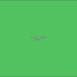 Example Product 2884