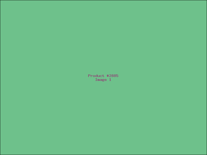 Example Product 2885