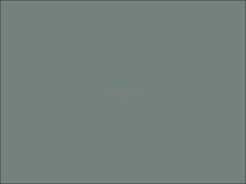 Example Product 2886