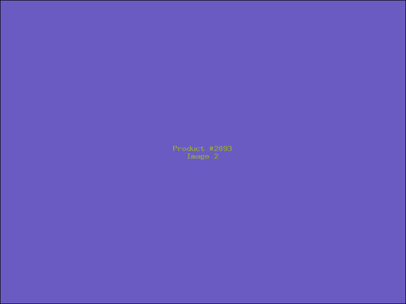 Example Product 2893 - Image 2