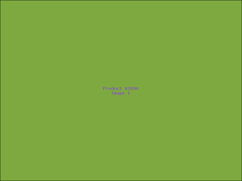 Example Product 2894