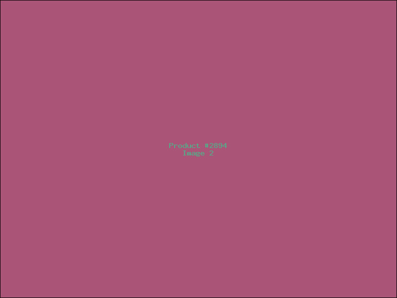 Example Product 2894 - Image 2