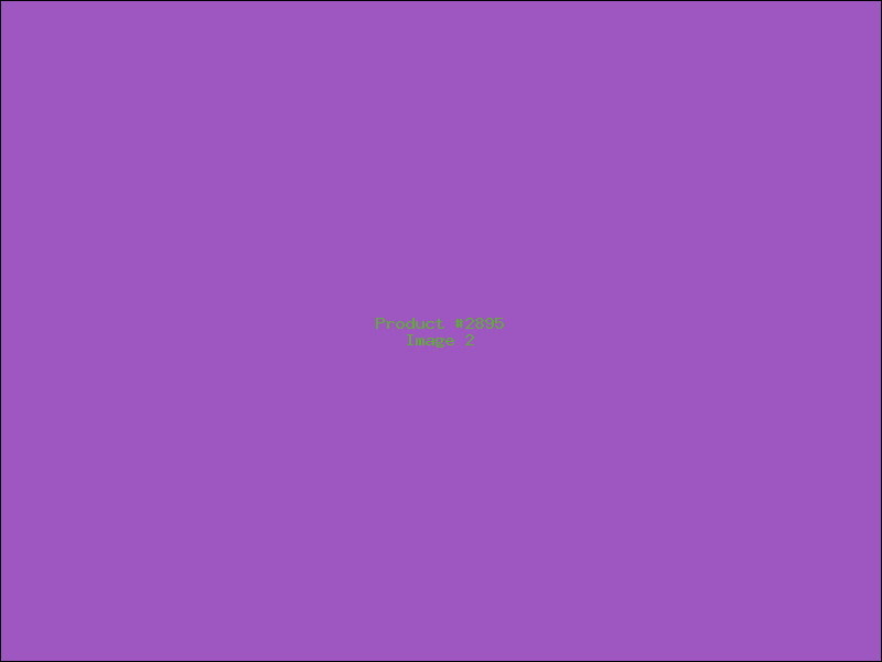 Example Product 2895 - Image 2