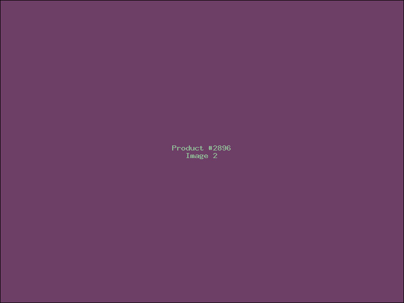 Example Product 2896 - Image 2