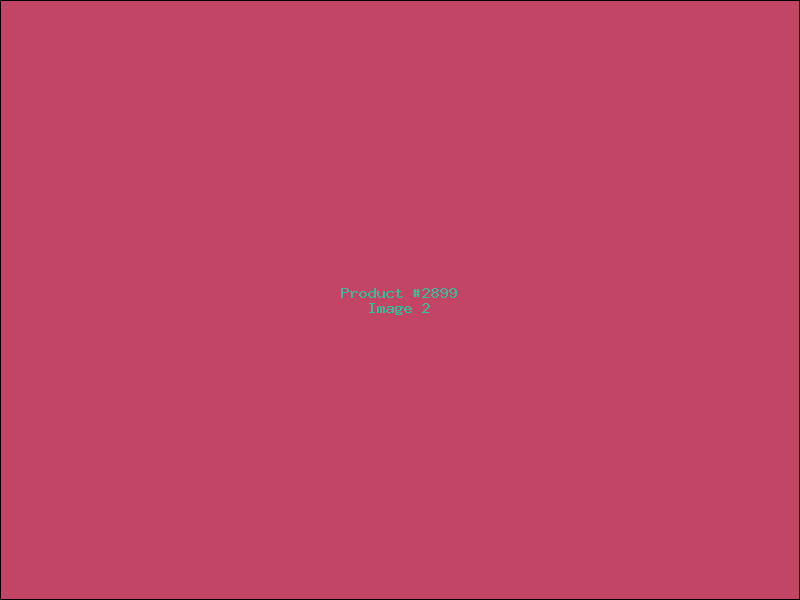 Example Product 2899 - Image 2