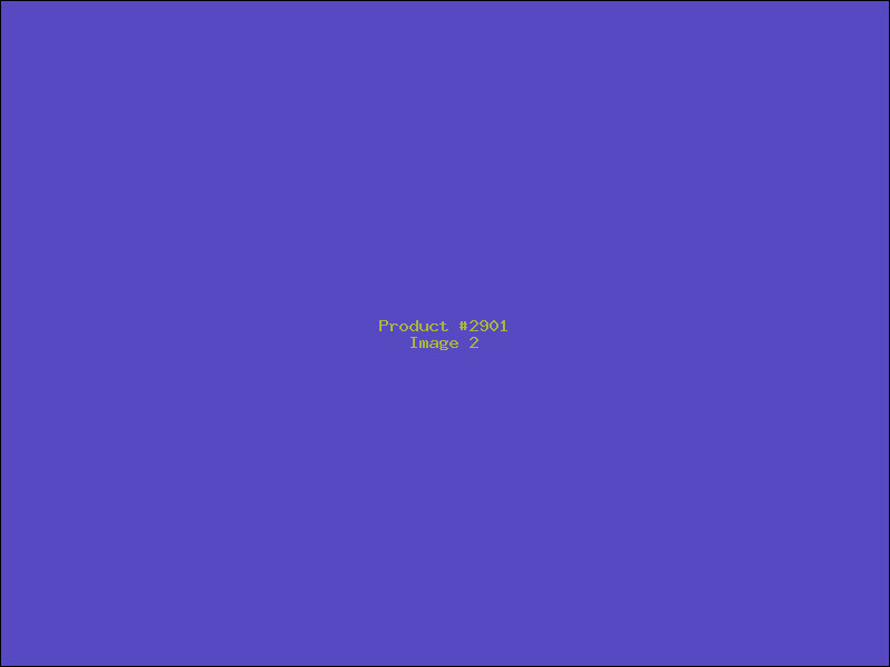 Example Product 2901 - Image 2