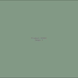 Example Product 2902