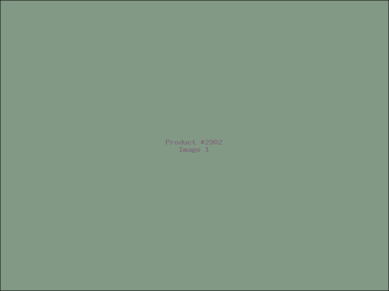 Example Product 2902