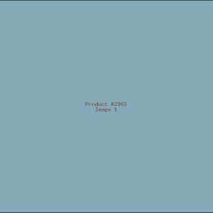Example Product 2903
