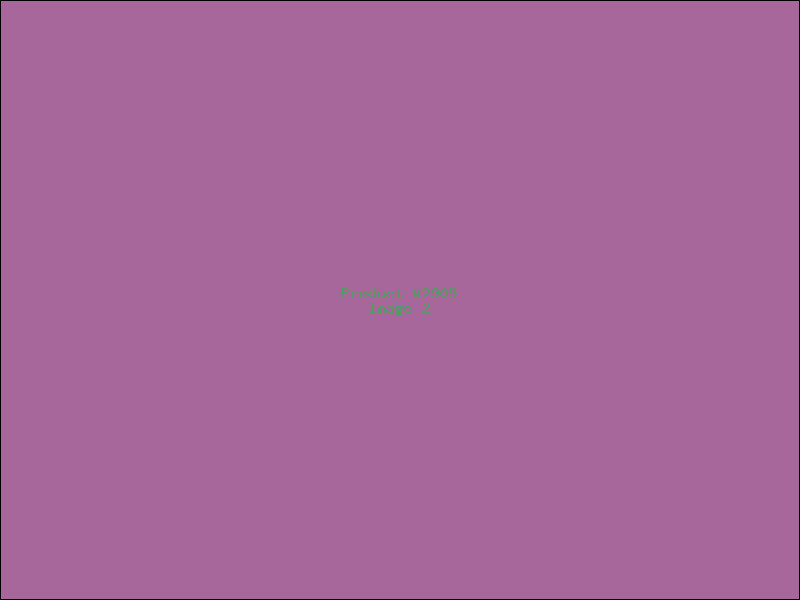 Example Product 2905 - Image 2