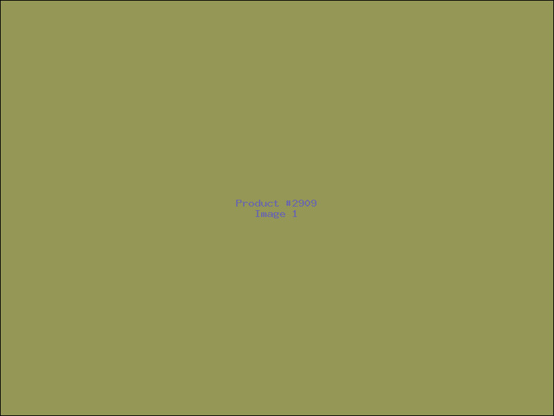 Example Product 2909