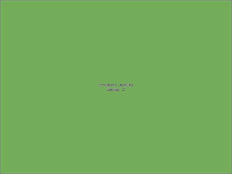 Example Product 2909 - Image 2