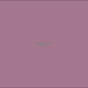 Example Product 291