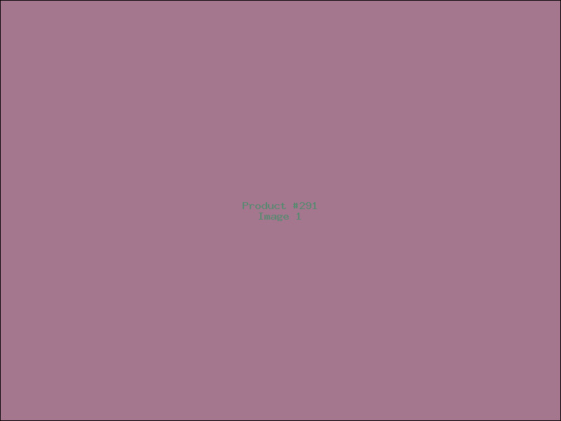 Example Product 291