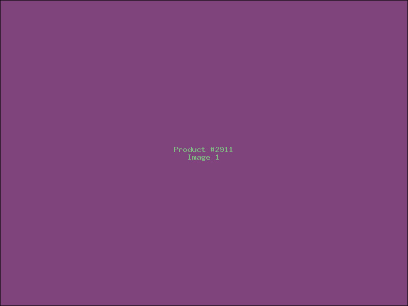 Example Product 2911