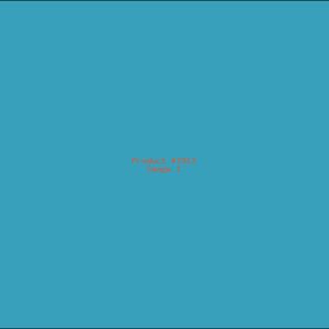Example Product 2913