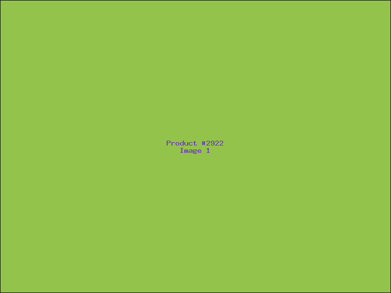 Example Product 2922