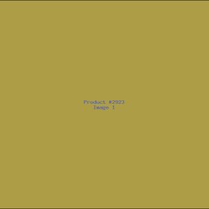 Example Product 2923