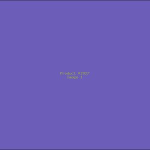 Example Product 2927