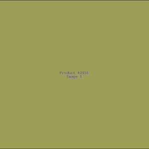 Example Product 2931