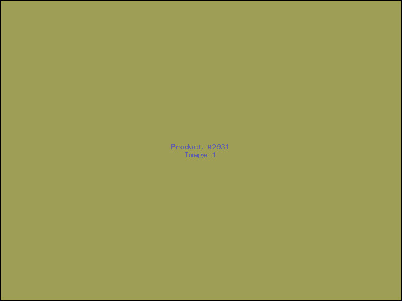 Example Product 2931