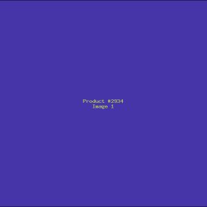 Example Product 2934