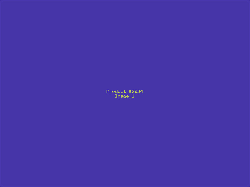 Example Product 2934