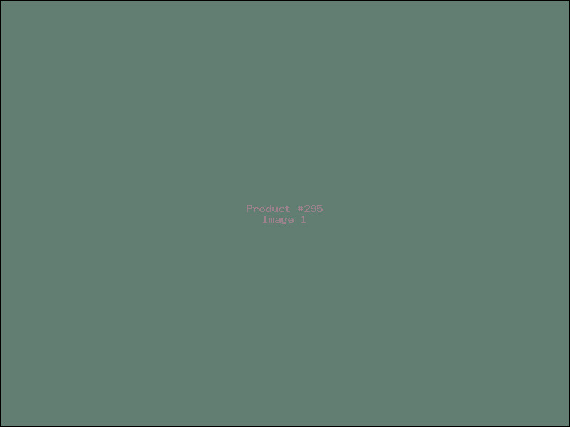 Example Product 295