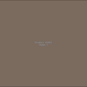 Example Product 2953
