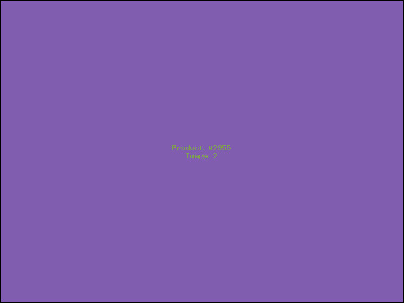 Example Product 2955 - Image 2