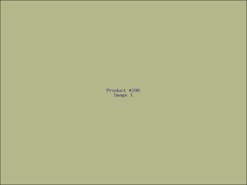 Example Product 296
