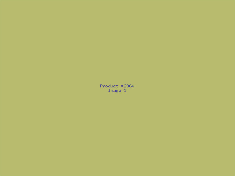 Example Product 2960