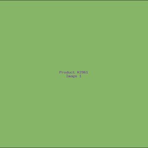 Example Product 2961