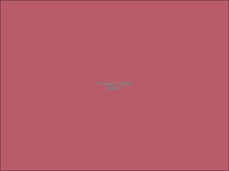 Example Product 2979