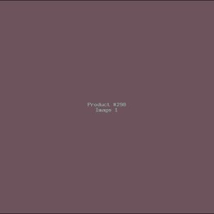 Example Product 298