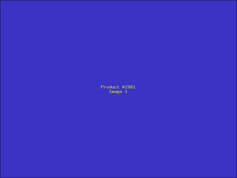 Example Product 2981