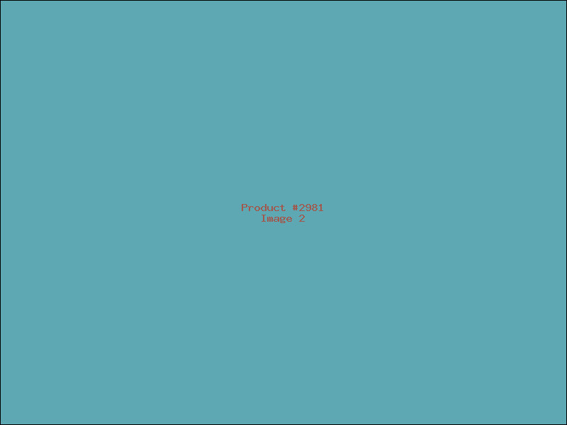 Example Product 2981 - Image 2