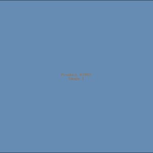 Example Product 2982