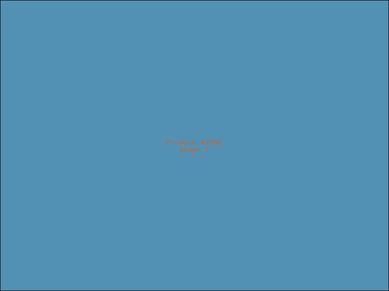 Example Product 2986