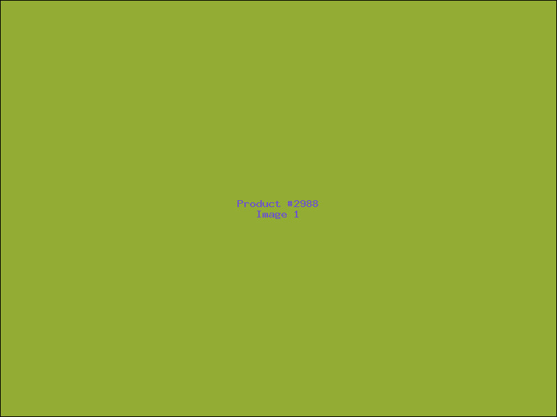 Example Product 2988