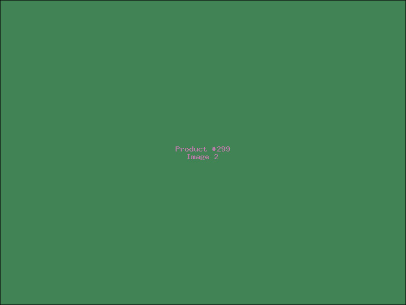 Example Product 299 - Image 2