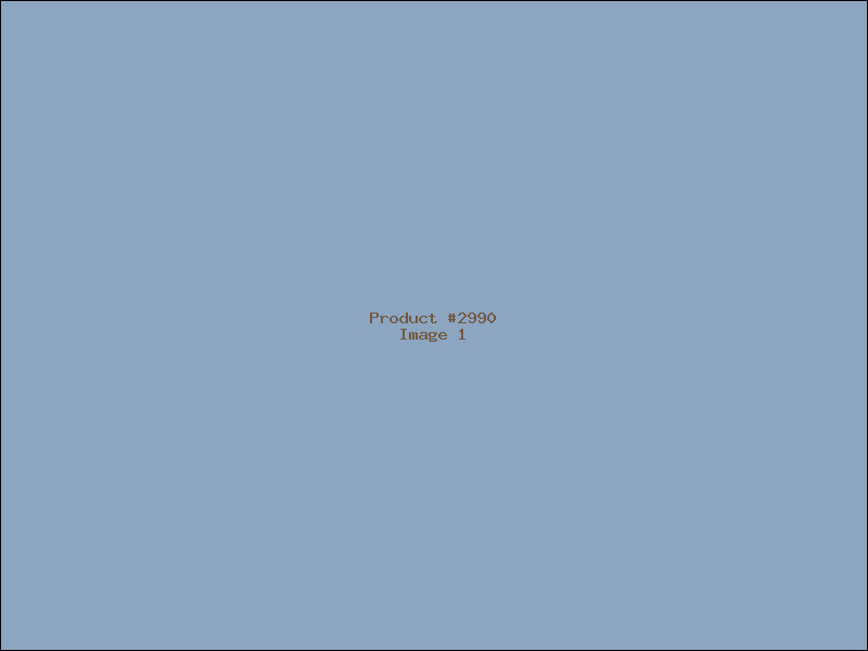 Example Product 2990