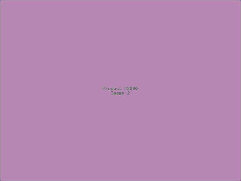 Example Product 2990 - Image 2