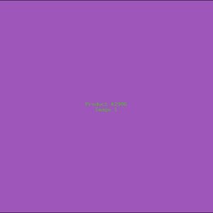 Example Product 2996