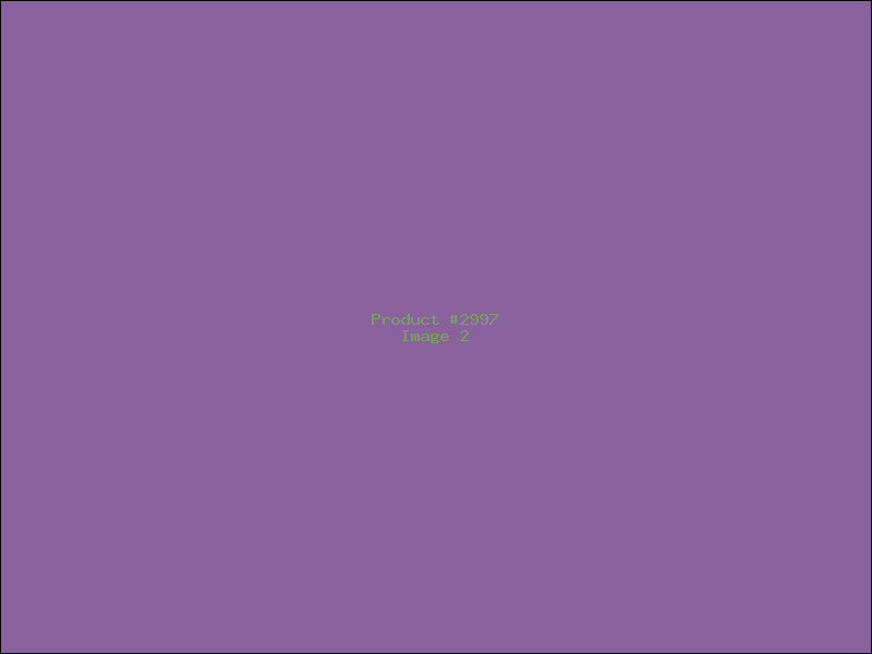 Example Product 2997 - Image 2